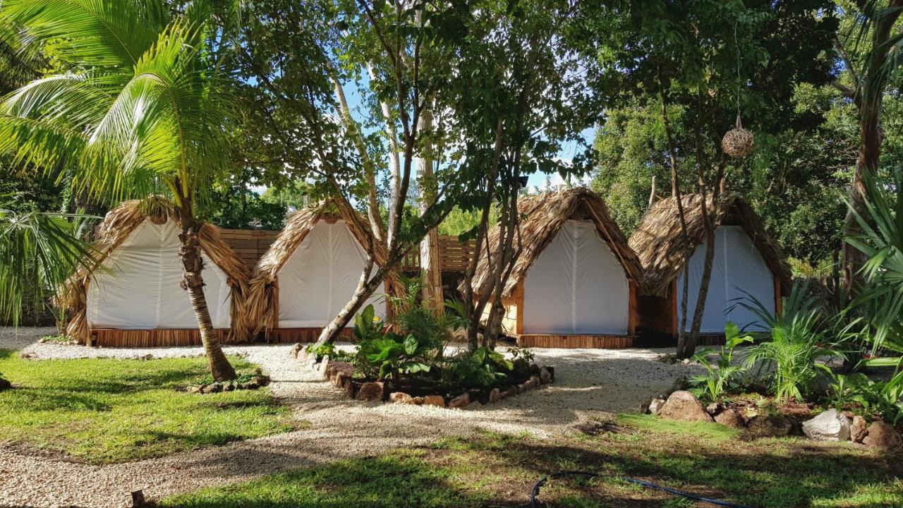 El Buho Bacalar Eco-Cabanas Hostal Экстерьер фото