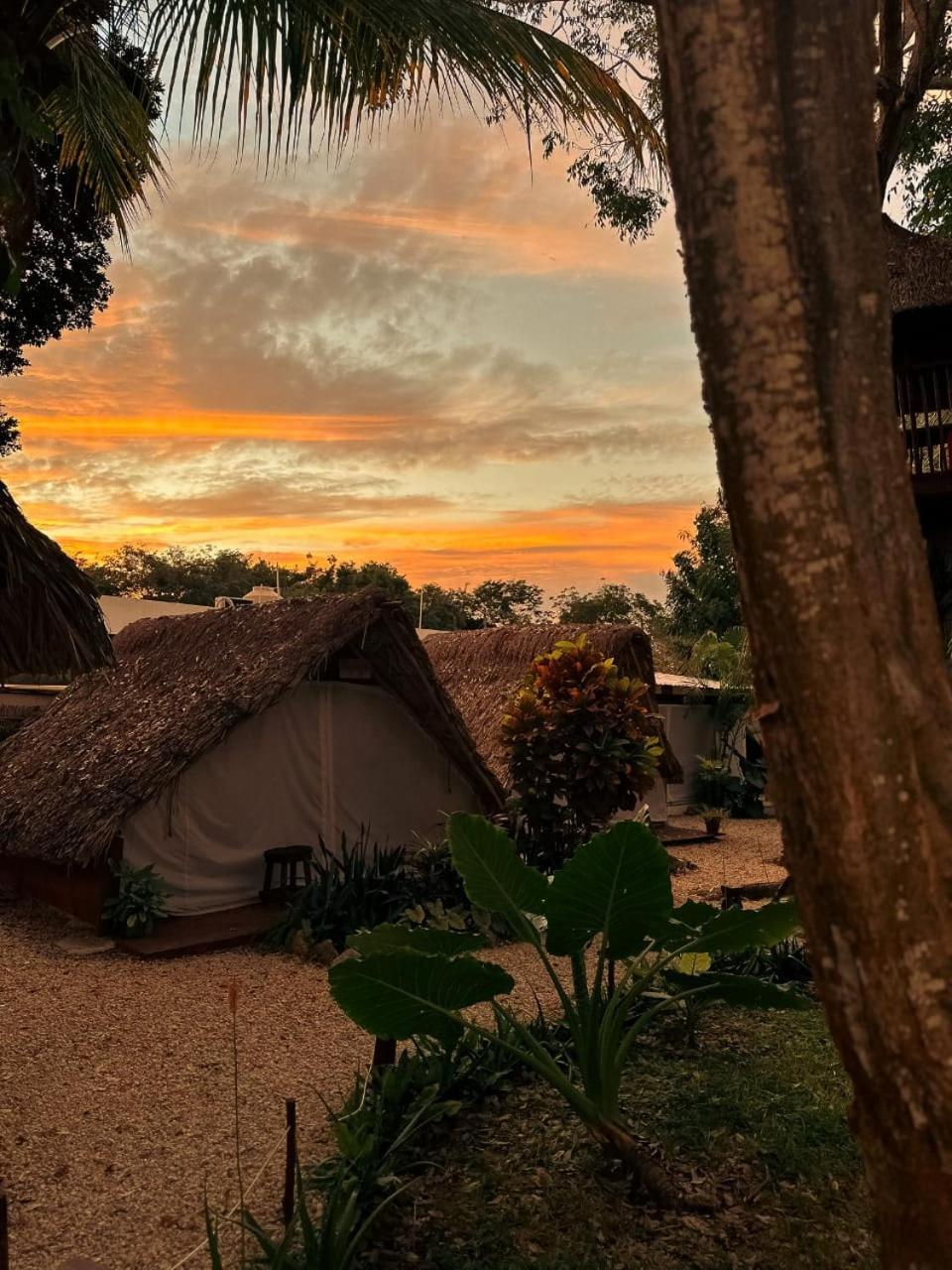 El Buho Bacalar Eco-Cabanas Hostal Экстерьер фото