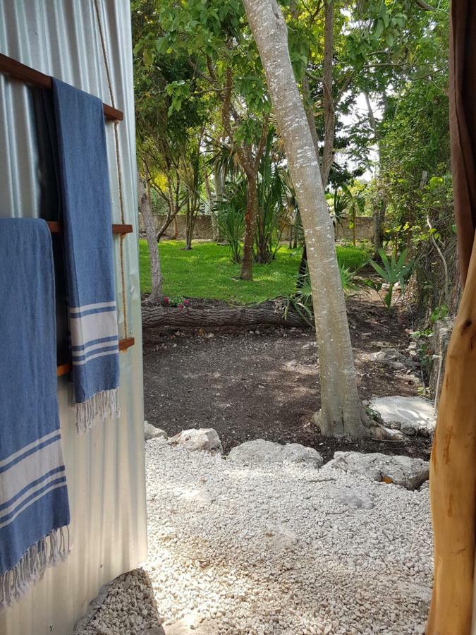 El Buho Bacalar Eco-Cabanas Hostal Экстерьер фото