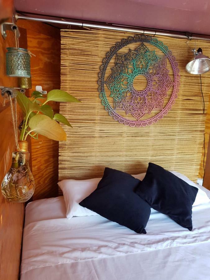 El Buho Bacalar Eco-Cabanas Hostal Экстерьер фото