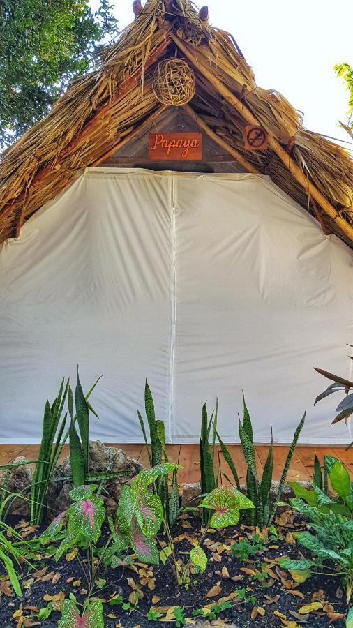 El Buho Bacalar Eco-Cabanas Hostal Экстерьер фото