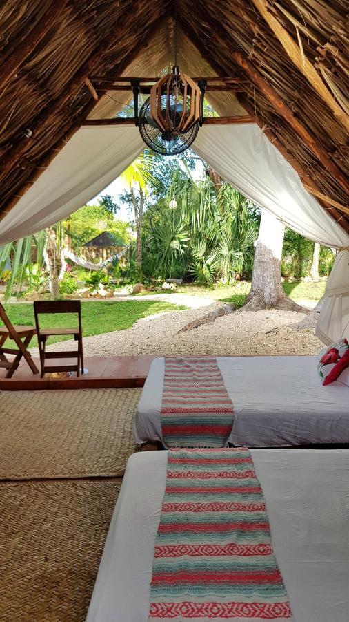 El Buho Bacalar Eco-Cabanas Hostal Экстерьер фото